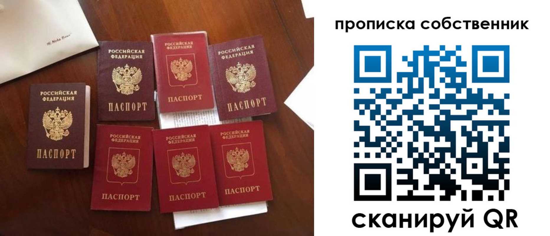 прописка для школы в Балашихе